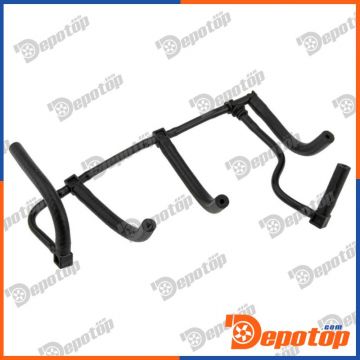 Tuyau, carburant de fuite pour RENAULT | BPP-RE-031, 166711735R